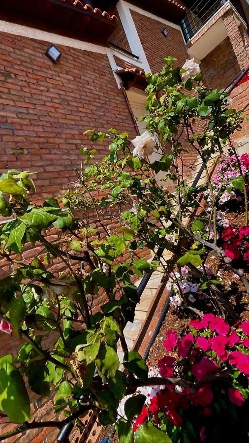Hotel Kappa3 Villas Kanine Penzion